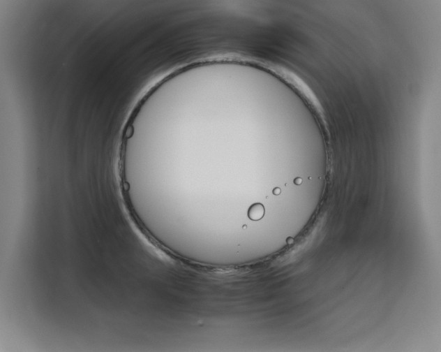 X0000111470847200907131237