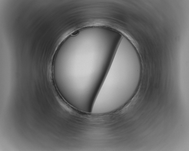 X0000111470850200907131237