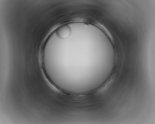 X0000111470851200907131237