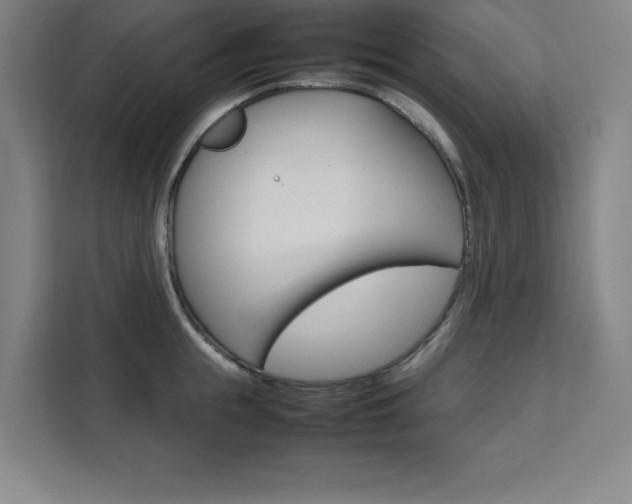 X0000111470855200907131237