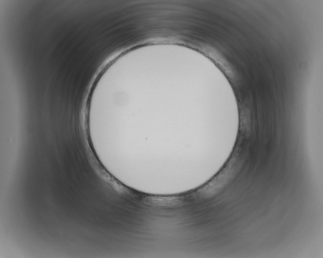 X0000111470856200907131237