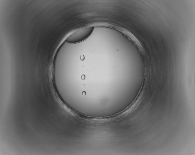 X0000111470860200907131237