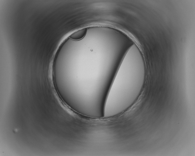X0000111470862200907131237