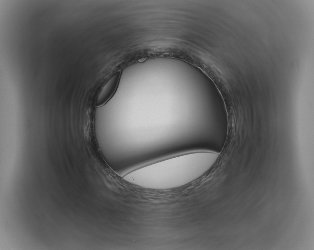 X0000111470868200907131236