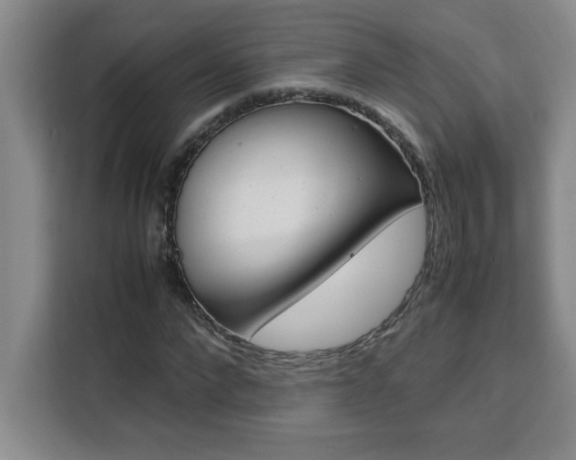 X0000111470872200907131236