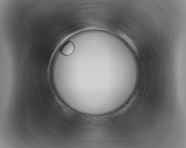 X0000111470876200907131236
