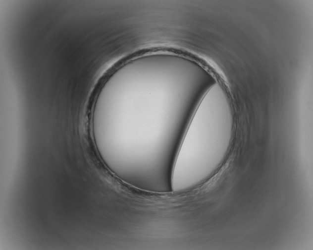 X0000111470879200907131236