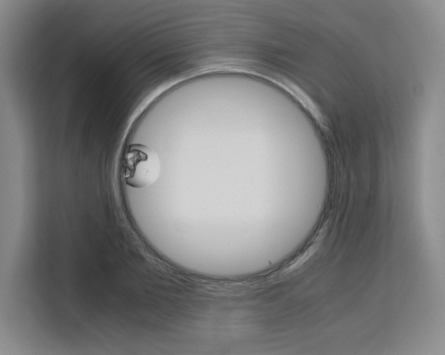 X0000111470885200907131236