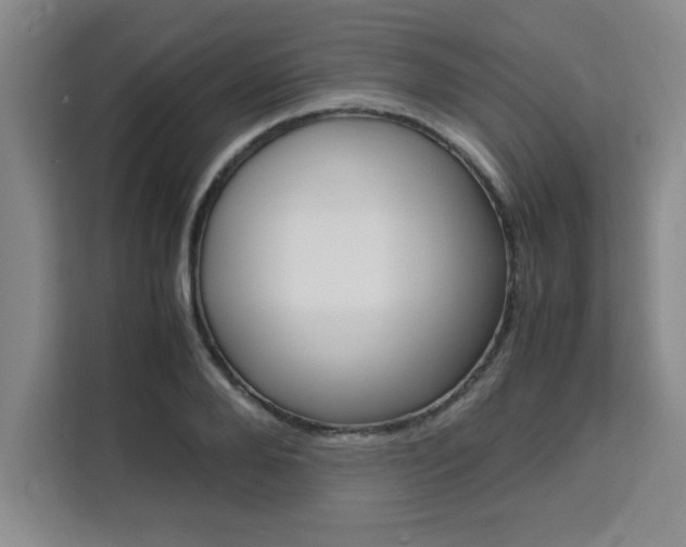 X0000111470888200907131236