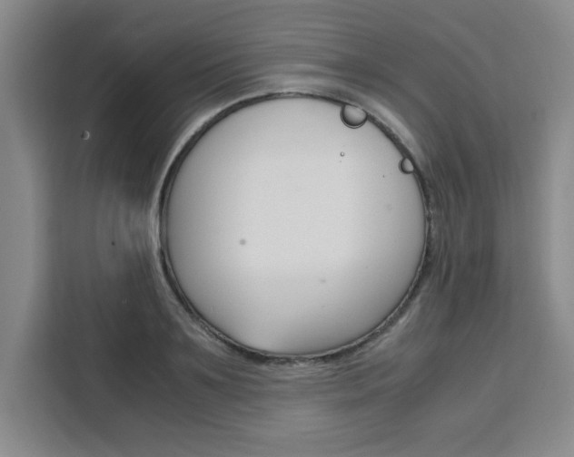 X0000111470891200907131236