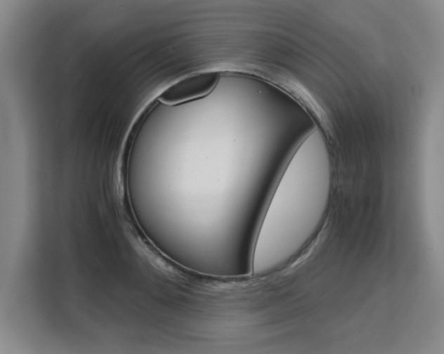 X0000111470892200907131236