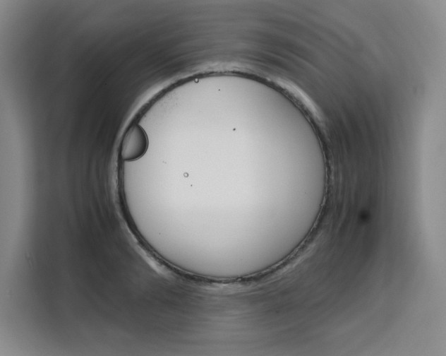 X0000111470894200907131236