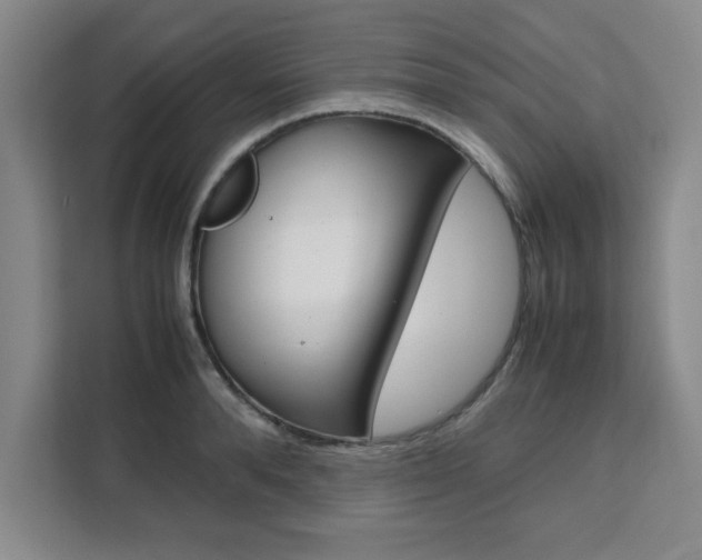 X0000111470896200907131236