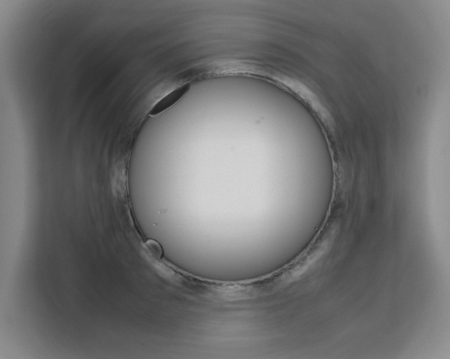 X0000111470897200907131236