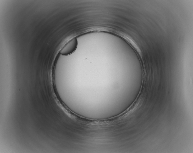 X0000111470898200907131236