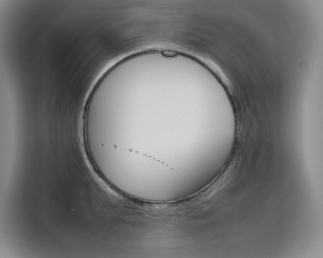 X0000111470903200907131236