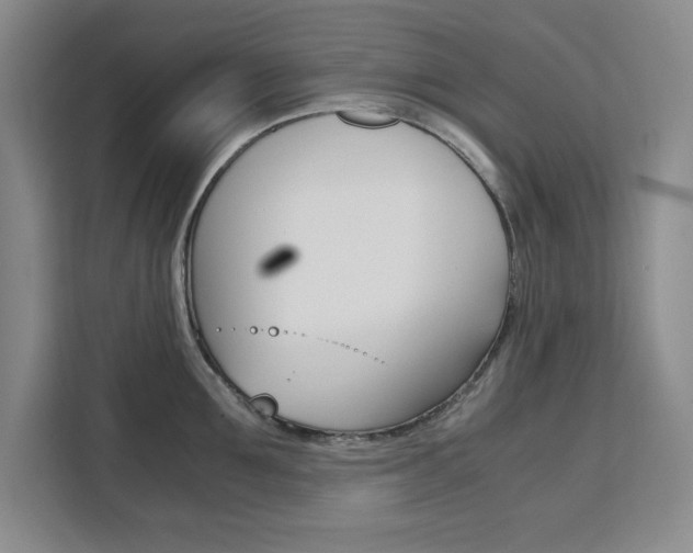 X0000111470907200907131236