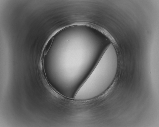 X0000111470908200907131235