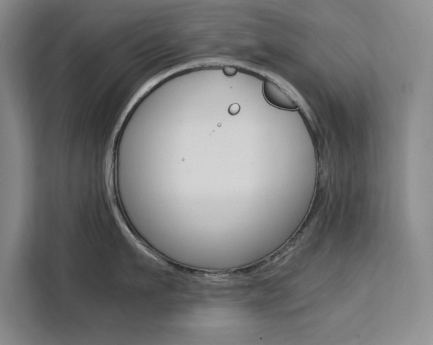 X0000111470911200907131235
