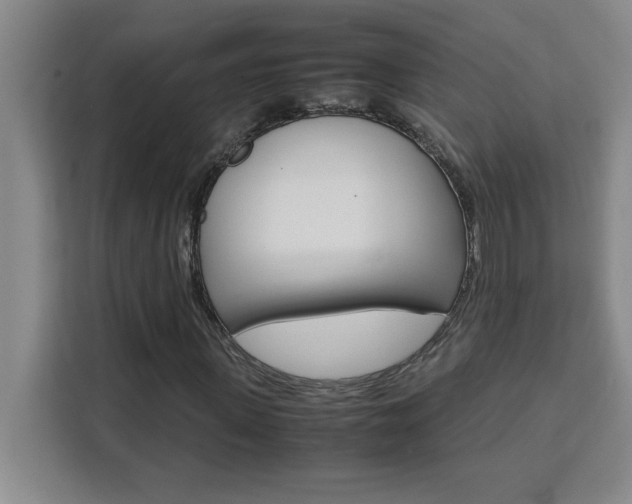 X0000111470915200907131235