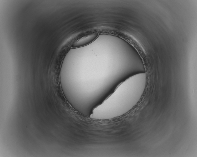 X0000111470919200907131235