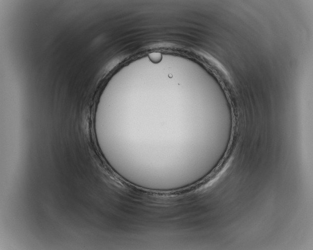 X0000111470921200907131235
