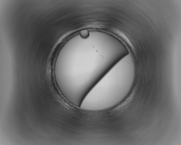 X0000111470923200907131235