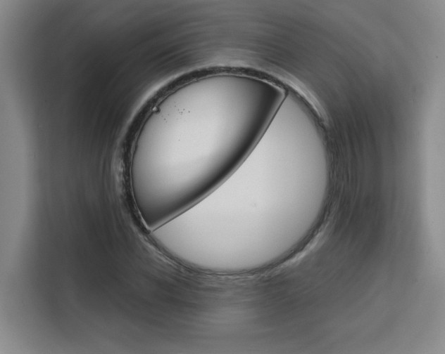 X0000111470926200907131235