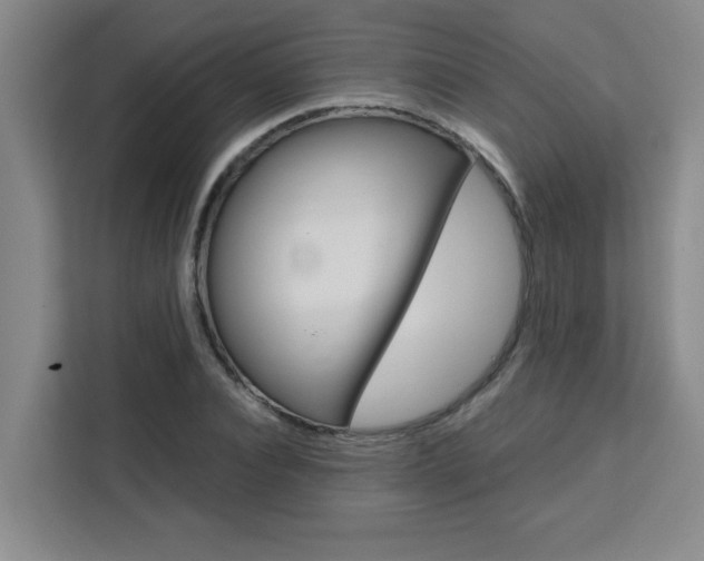 X0000111470928200907131235