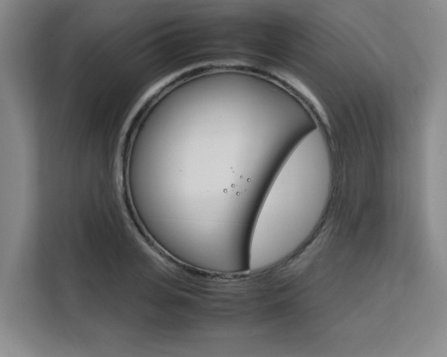 X0000111470935200907131235