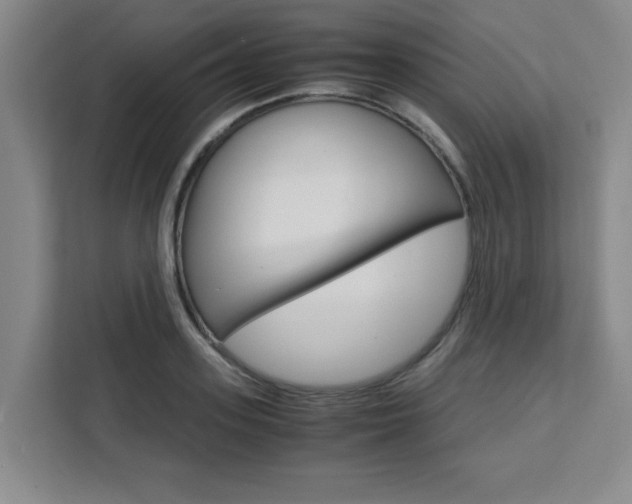 X0000111470939200907131235