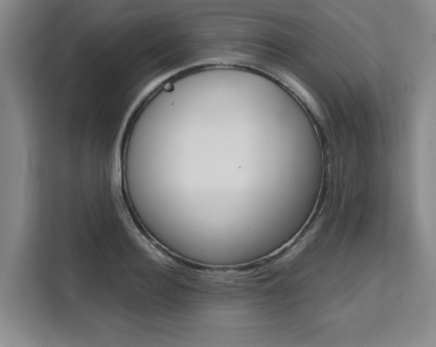 X0000111470940200907131235