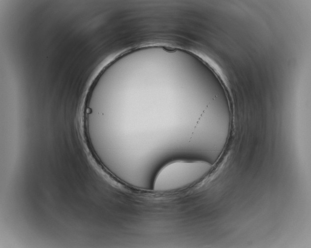 X0000111470949200907131235