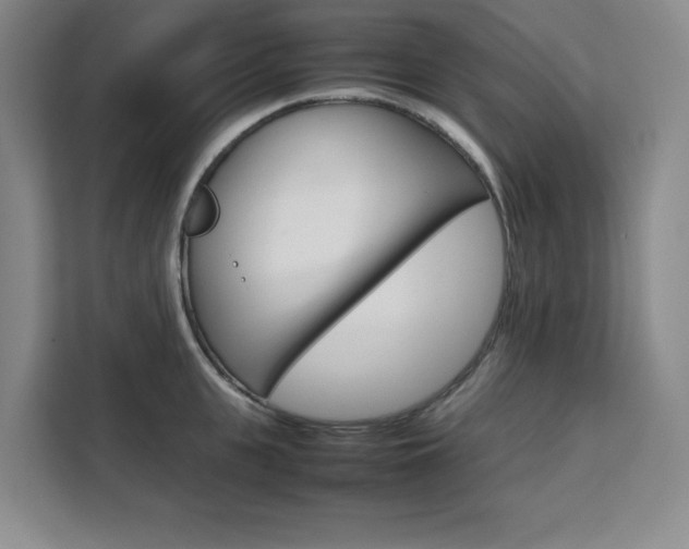 X0000111470951200907131235