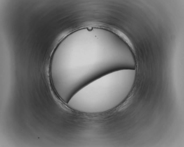 X0000111470954200907131235
