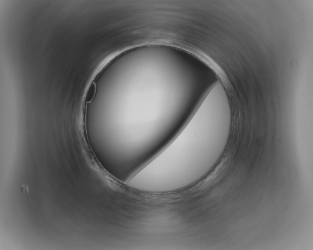 X0000111470956200907131235