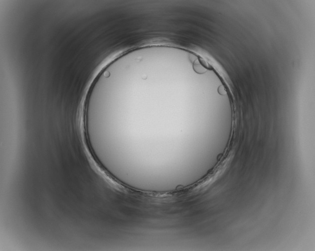 X0000111470957200907131235