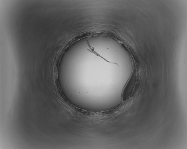 X0000111470961200907131235