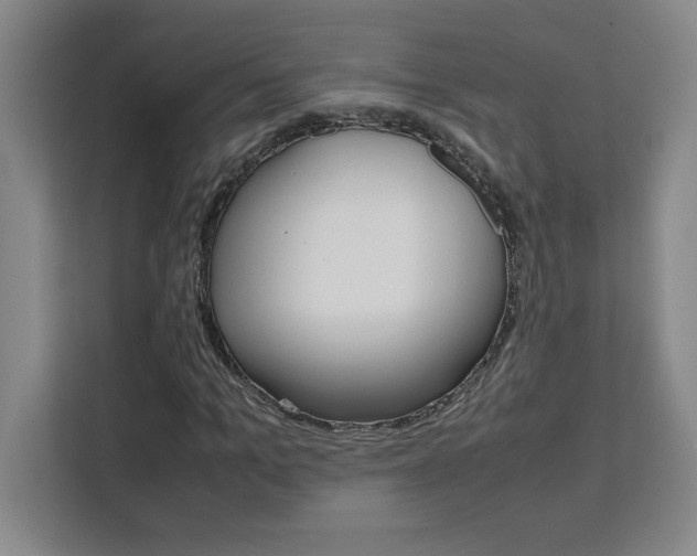 X0000111470965200907131235