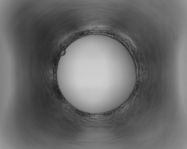 X0000111470966200907131235