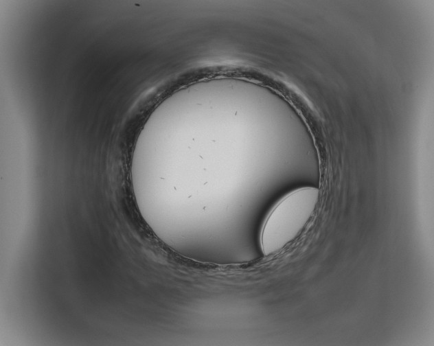 X0000111470967200907131235