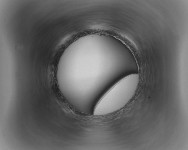 X0000111470968200907131235