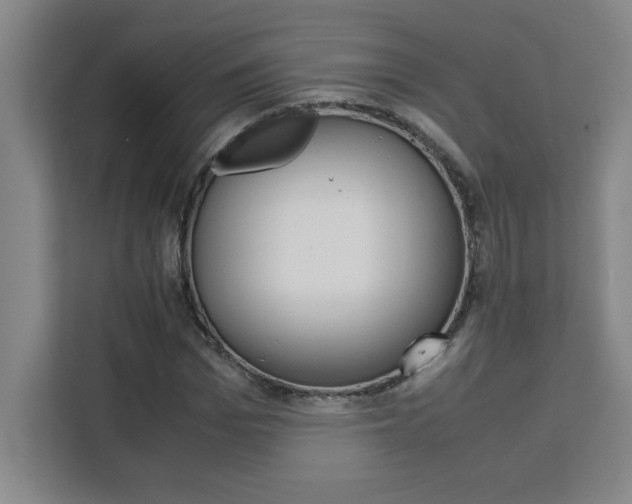 X0000111470969200907131235