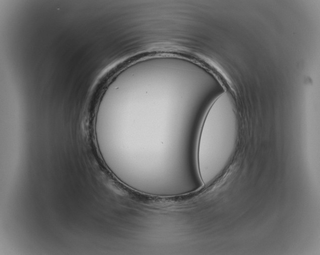 X0000111470971200907131235