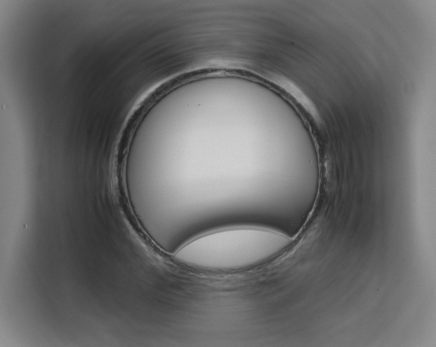 X0000111470972200907131235