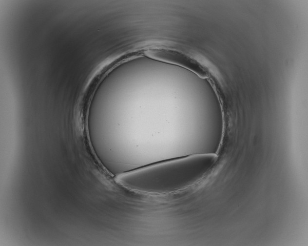 X0000111470973200907131235