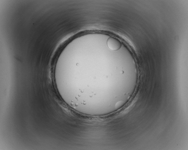 X0000111470974200907131235