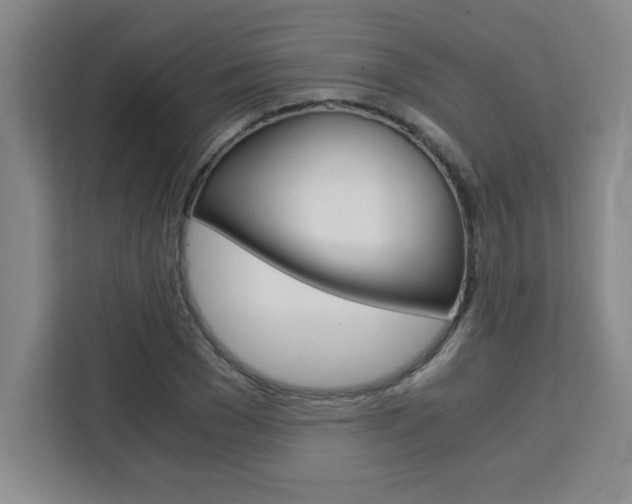 X0000111470977200907131235