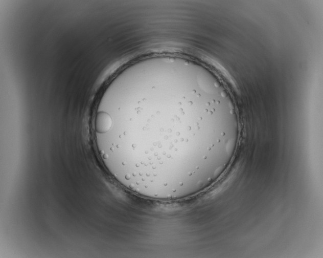 X0000111470978200907131235