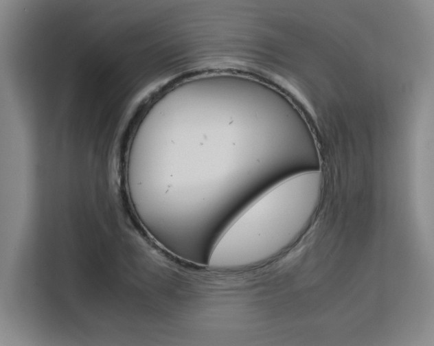 X0000111470979200907131235